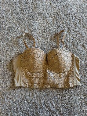 Windsor Lace Embellished Crop Bustier Top in Taupe